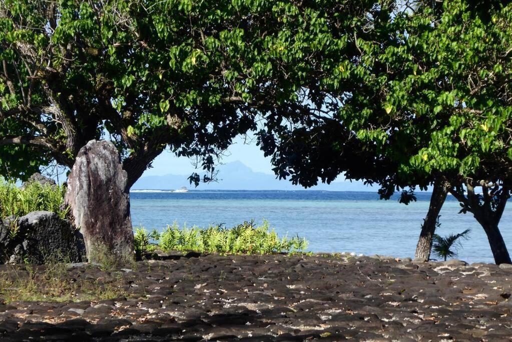 Raiatea, Opoa, Studio Du Fare Reve, Acces Mer Privatif 外观 照片
