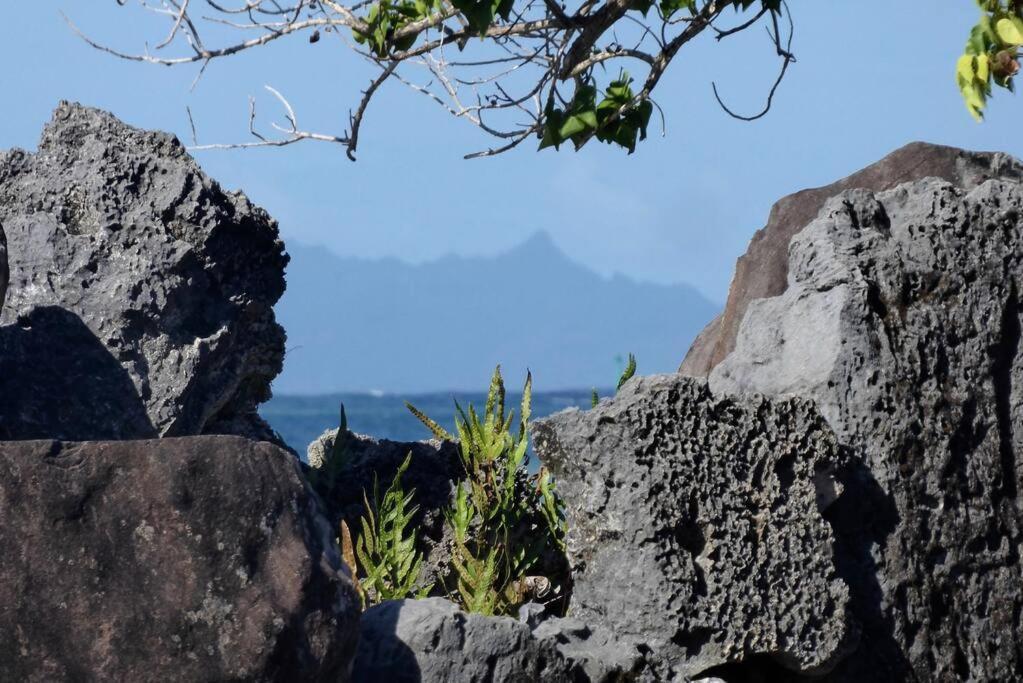Raiatea, Opoa, Studio Du Fare Reve, Acces Mer Privatif 外观 照片