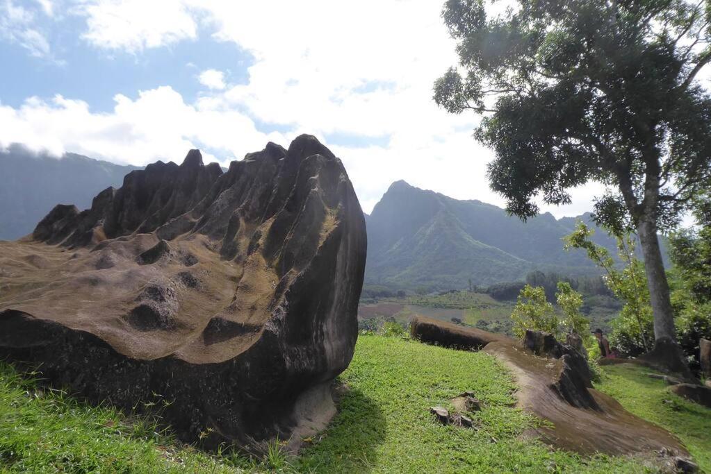 Raiatea, Opoa, Studio Du Fare Reve, Acces Mer Privatif 外观 照片