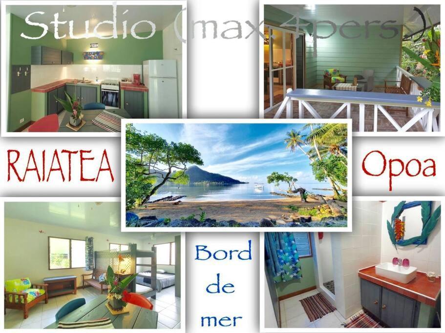 Raiatea, Opoa, Studio Du Fare Reve, Acces Mer Privatif 外观 照片