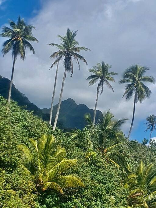 Raiatea, Opoa, Studio Du Fare Reve, Acces Mer Privatif 外观 照片