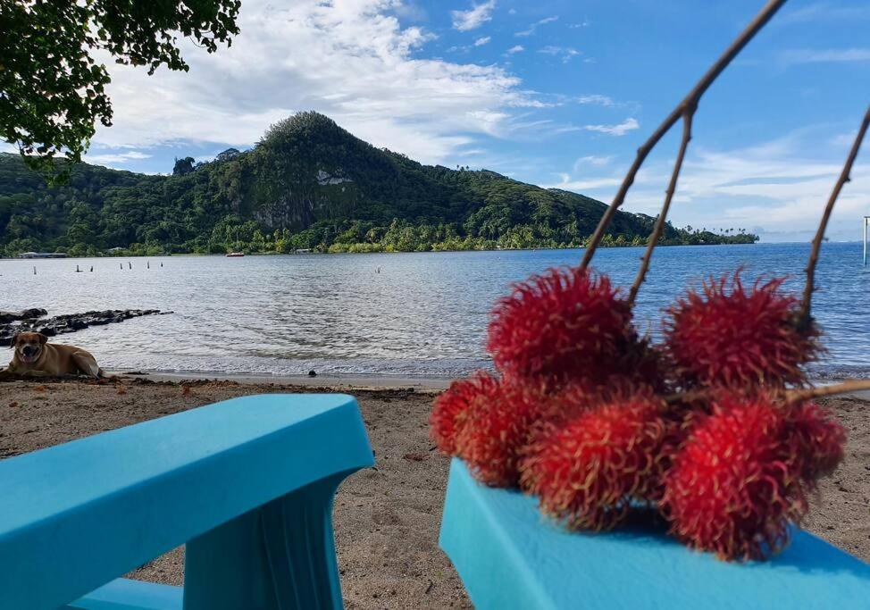 Raiatea, Opoa, Studio Du Fare Reve, Acces Mer Privatif 外观 照片